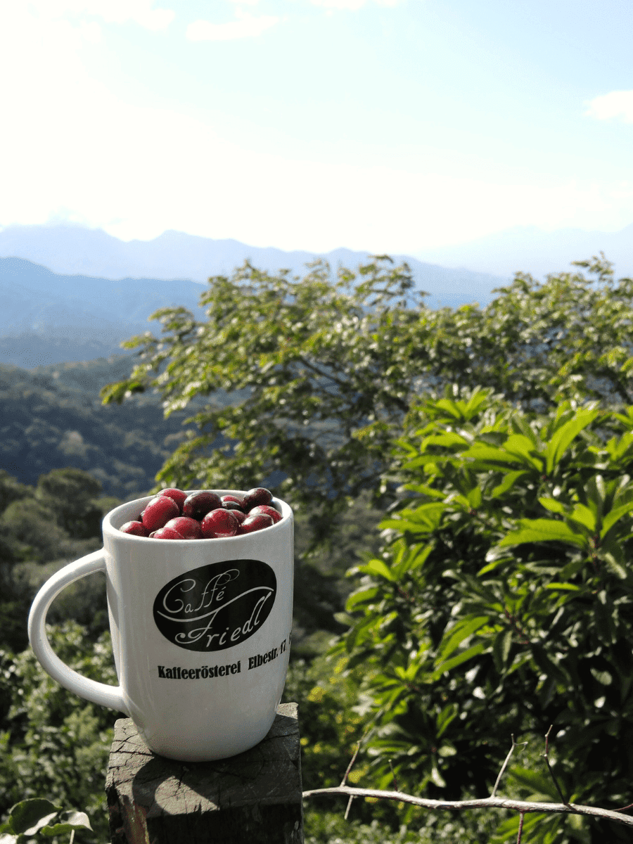 Kaffee vor Aussicht